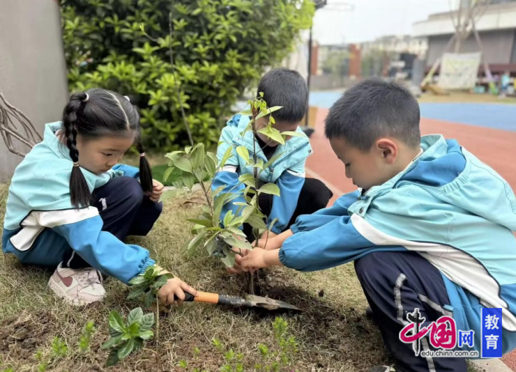 孟春之月，盛德在木 邛崃各学校以实际行动践行环保理念